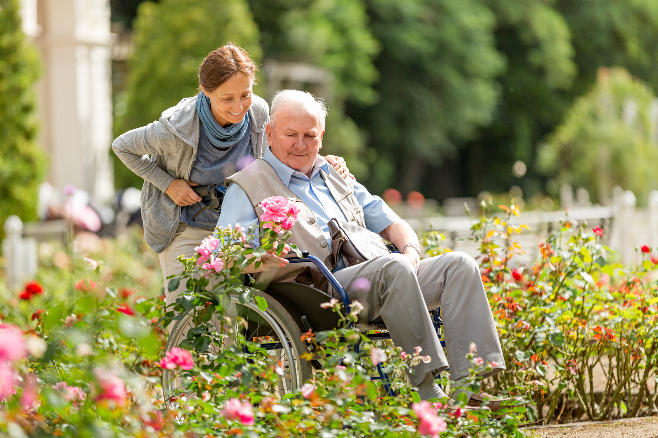 DialMED Home Care DialMED Home Care